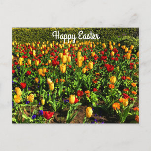 Postale Bonne Pâques Rouge & Tulipes Jaunes #1 Carte posta