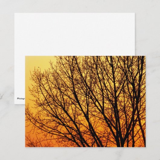 Postale Branchement Carte pour notes vide 1 (Devant / Derrière)