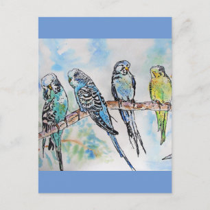Postale Budgie Budgies Carte Oiseau de peinture aquarelle