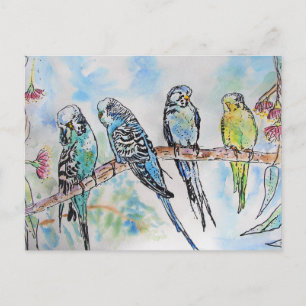 Postale Budgie Budgies Carte Oiseau de peinture aquarelle