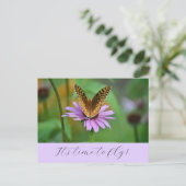 Postale Butterfly Time for New Life Adventures Carte posta (Debout devant)