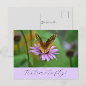 Postale Butterfly Time for New Life Adventures Carte posta (Devant / Derrière)