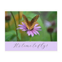 Butterfly Time for New Life Adventures Carte posta