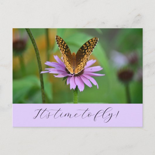 Postale Butterfly Time for New Life Adventures Carte posta (Devant)