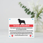 Postale Cage pour chien - Carte en cas d'urgence : Aussie (Debout devant)