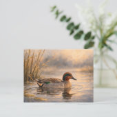 Postale Canard de marais | Art de la faune côtière | Carte (Debout devant)