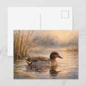 Postale Canard de marais | Art de la faune côtière | Carte (Devant / Derrière)