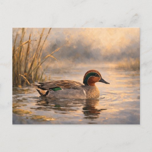 Postale Canard de marais | Art de la faune côtière | Carte (Devant)