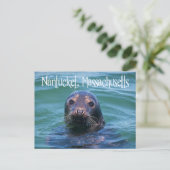 Postale Cape Cod, Nantucket, Massachusetts Seal Carte post (Debout devant)