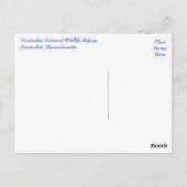 Postale Cape Cod, Nantucket, Massachusetts Seal Carte post (Dos)