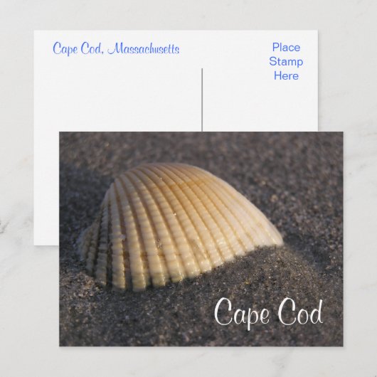 Postale Cape Cod Seashell sur la carte de poste de plage (Devant / Derrière)