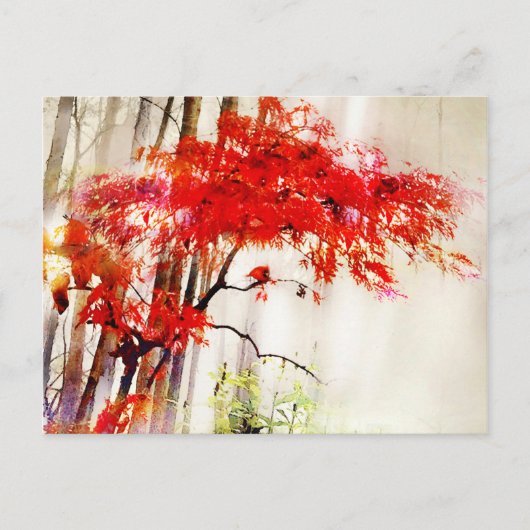 Postale Cardinal d'automne, érable rouge japonais, carte p (Devant)
