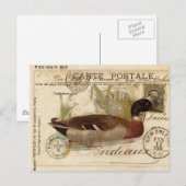 Postale Carte à canard vintage (Devant / Derrière)