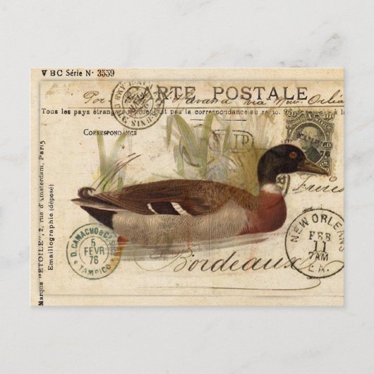 Postale Carte à canard vintage (Devant)