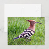 Postale Carte à capot (Devant / Derrière)