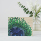 Postale Carte à fleurs Peacock Colonnes (Debout devant)