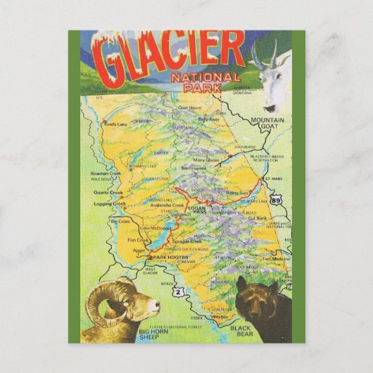 Postale Carte ancienne du parc national de Glacier (Devant)