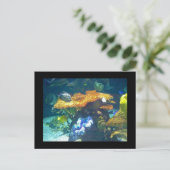 Postale Carte Aquarium (Debout devant)