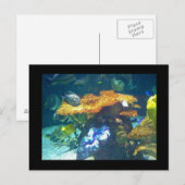Postale Carte Aquarium (Devant / Derrière)