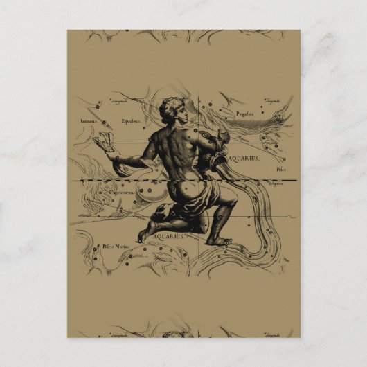 Postale Carte Aquarius Constellation par Hevelius (Devant)
