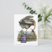Postale Carte Audubon au maximum du Grand Héron Bleu (Debout devant)
