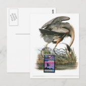 Postale Carte Audubon au maximum du Grand Héron Bleu (Devant / Derrière)