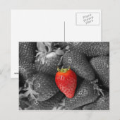 Postale Carte aux fraises rouges (Devant / Derrière)
