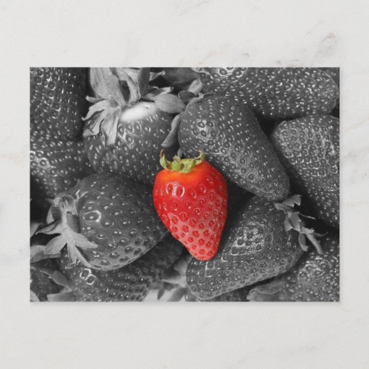 Postale Carte aux fraises rouges (Devant)