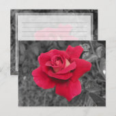 Postale Carte Black White Red Rose (Devant / Derrière)