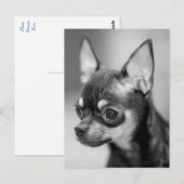 Postale Carte blanche (Devant / Derrière)