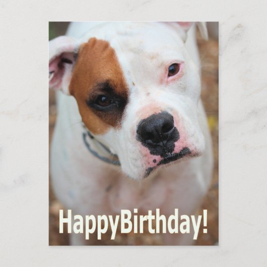 Postale Carte Boop Anniversaire (Devant)