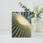 Postale Carte Cactus (Debout devant)