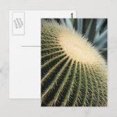 Postale Carte Cactus (Devant / Derrière)