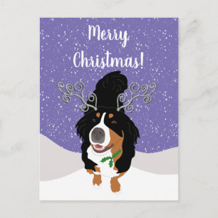 Postale Carte cadeau de chien de montagne bernoise de Noël