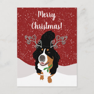 Postale Carte cadeau de chien de montagne bernoise de Noël