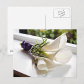 Postale Carte Calla Lily (Devant / Derrière)