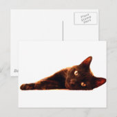 Postale Carte Cat (Devant / Derrière)