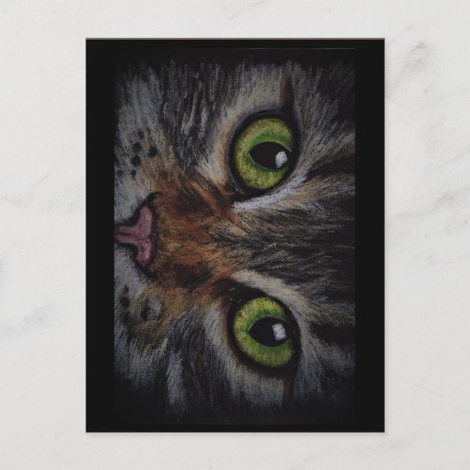 Postale Carte chat (Devant)