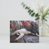 Postale Carte Chat Smoking élégant faisant une Vague Mexic (Debout devant)