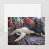 Postale Carte Chat Smoking élégant faisant une Vague Mexic (Devant / Derrière)