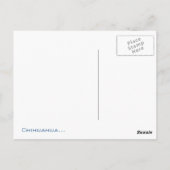Postale Carte Chihuahua humour (Dos)