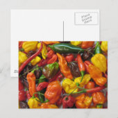 Postale Carte Chilihead (Devant / Derrière)