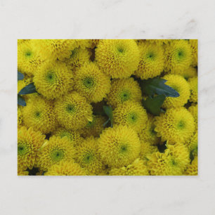 Postale Carte chrysanthème jaune