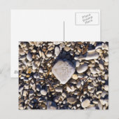 Postale Carte Coeur Nature (Devant / Derrière)