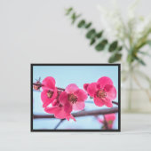 Postale Carte Cognassier du Japon (Debout devant)