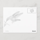 Postale Carte Colibri (Dos)