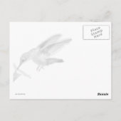 Postale Carte Colibri encadrée (Dos)