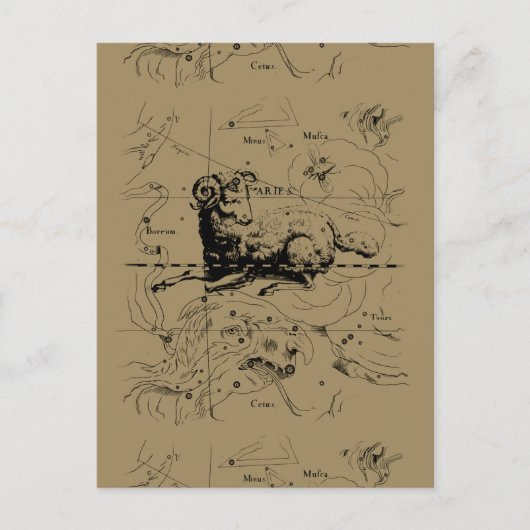 Postale Carte Constellation Aries Hevelius 1690 (Devant)