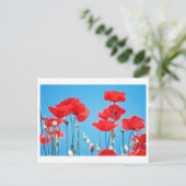 Postale Carte Coquelicots de Provence (Debout devant)