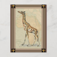 Carte d'Afrique et une girafe